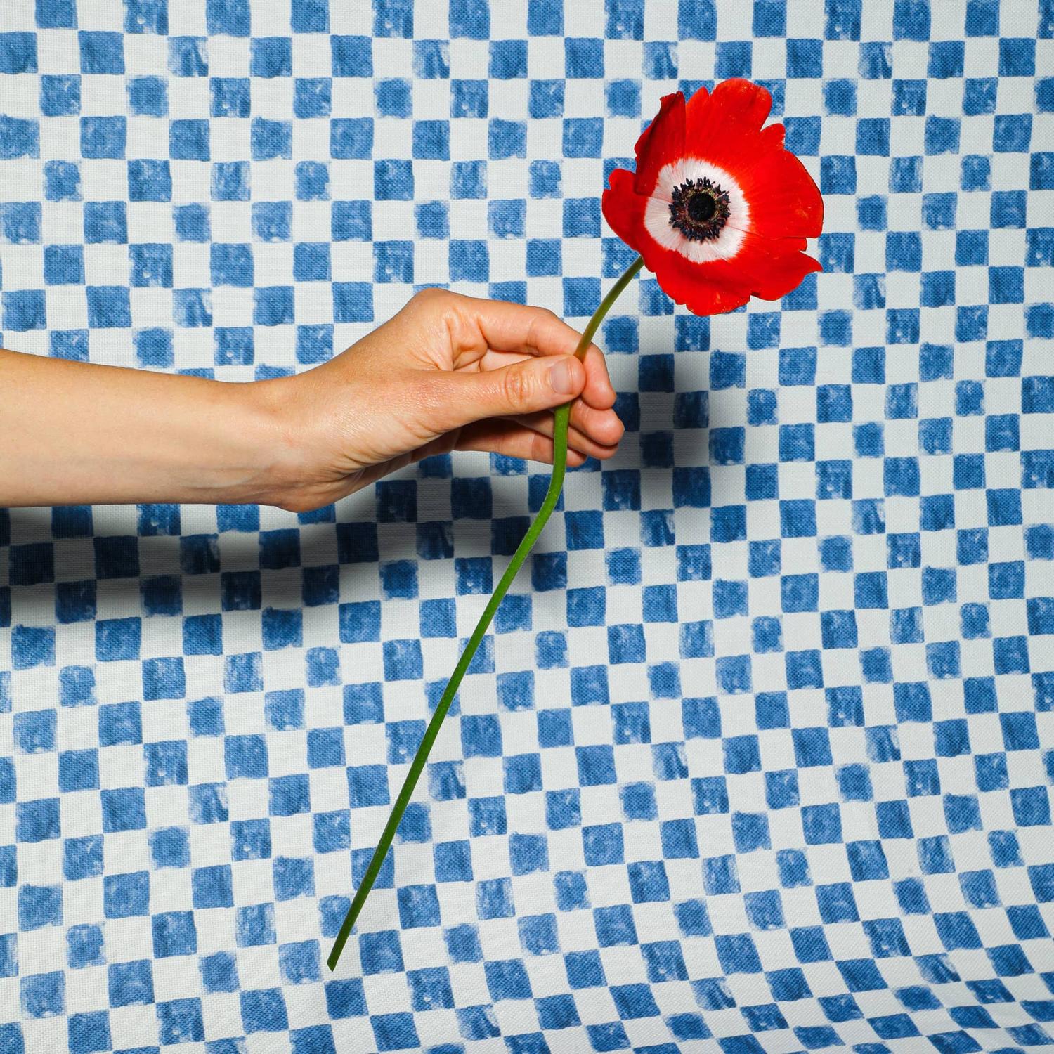 Labec flower still life photography.