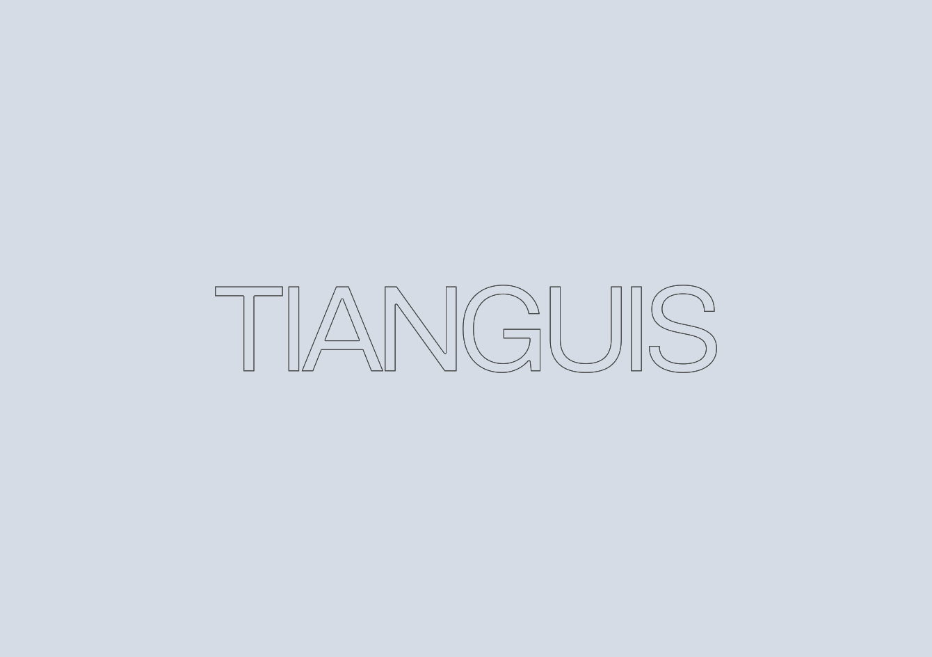 Tianguis NYC animated logo reel.